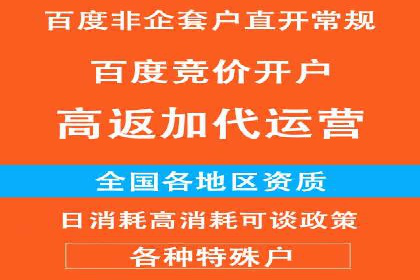 百度竞价SEM案例：揭秘高效广告投放技巧